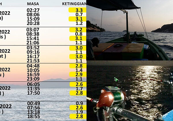 Jadwal Pasang Surut Air Laut untuk Mancing: Strategi Jitu Memaksimalkan Hasil Tangkapan Anda