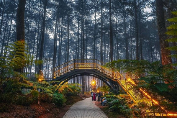 Jelajahi Pesona Wisata Lembang: Destinasi Terbaru, Kuliner Menggoda, dan Petualangan Tak Terlupakan