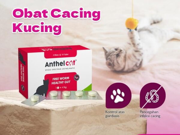 Mengenal Lebih Dalam Obat Cacing Kucing: Panduan Lengkap untuk Kesehatan Optimal Anabul Anda