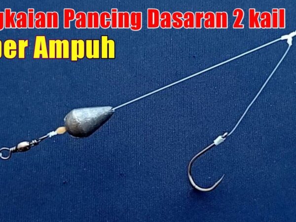 Menguasai Rangkaian Pancing Dasaran: Teknik, Peralatan, dan Strategi Memancing Sukses