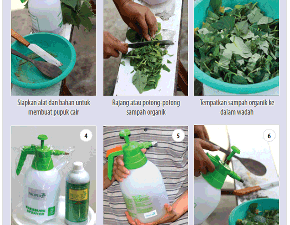 Pupuk Organik Cair: Resep Sukses Kebun Subur dari Dapur Sendiri