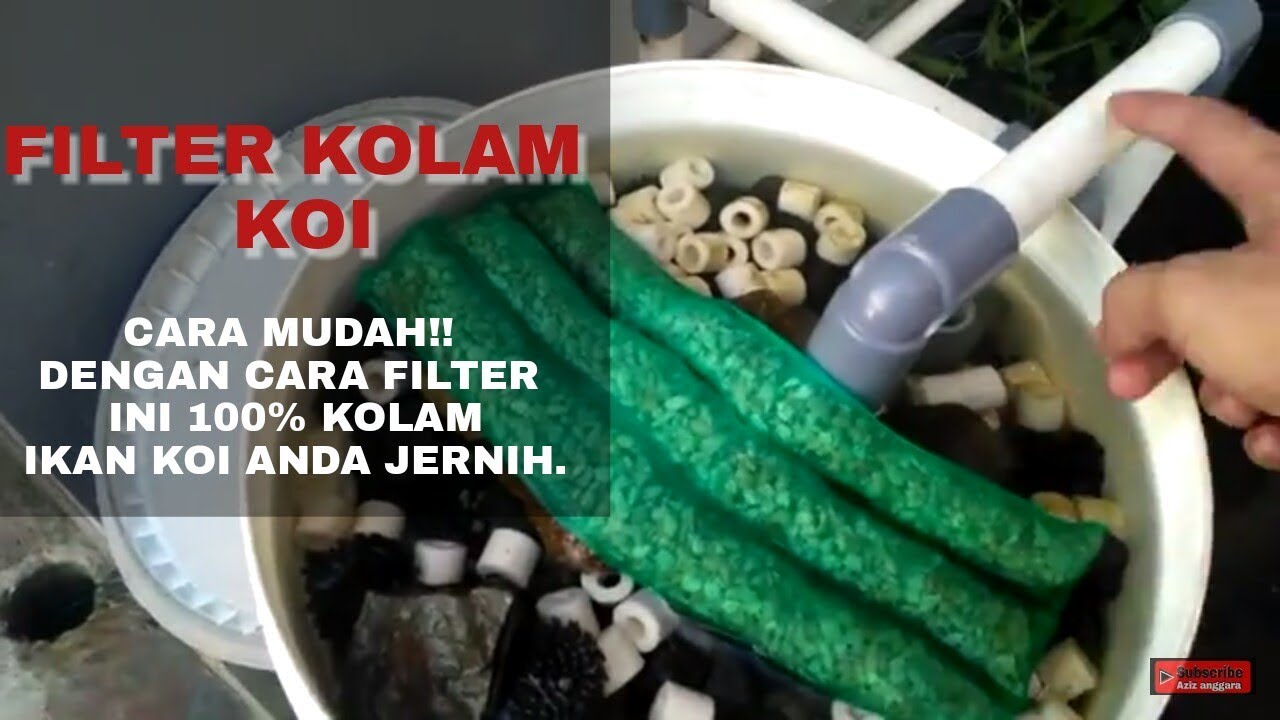 Rahasia Kolam Koi Jernih: Menguak Efektivitas Filter Sederhana untuk Kesehatan Ikan dan Keindahan Air