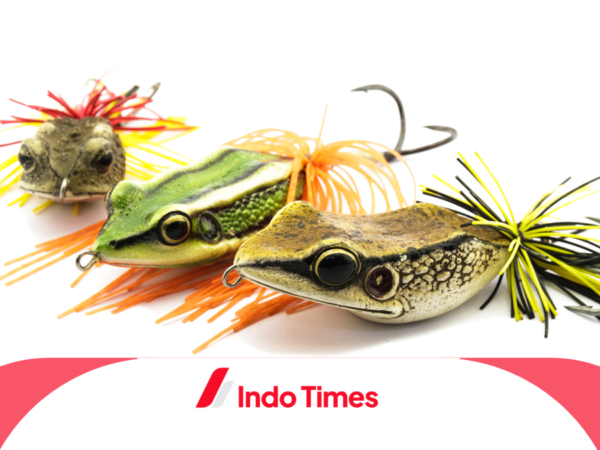 Umpan Ikan Nila Liar Paling Jitu: Rahasia Memancing Nila di Habitat Asli